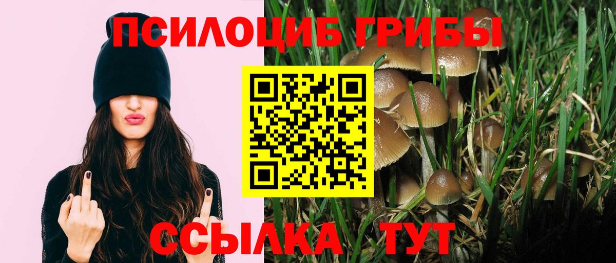 Галлюциногенные грибы прущие грибы  Вход с VPN  Алексин 